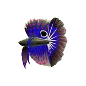 Indigo Polka Betta